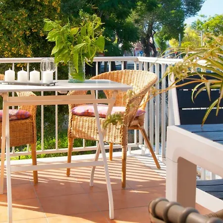 Pine En Alcudia (Mallorca)